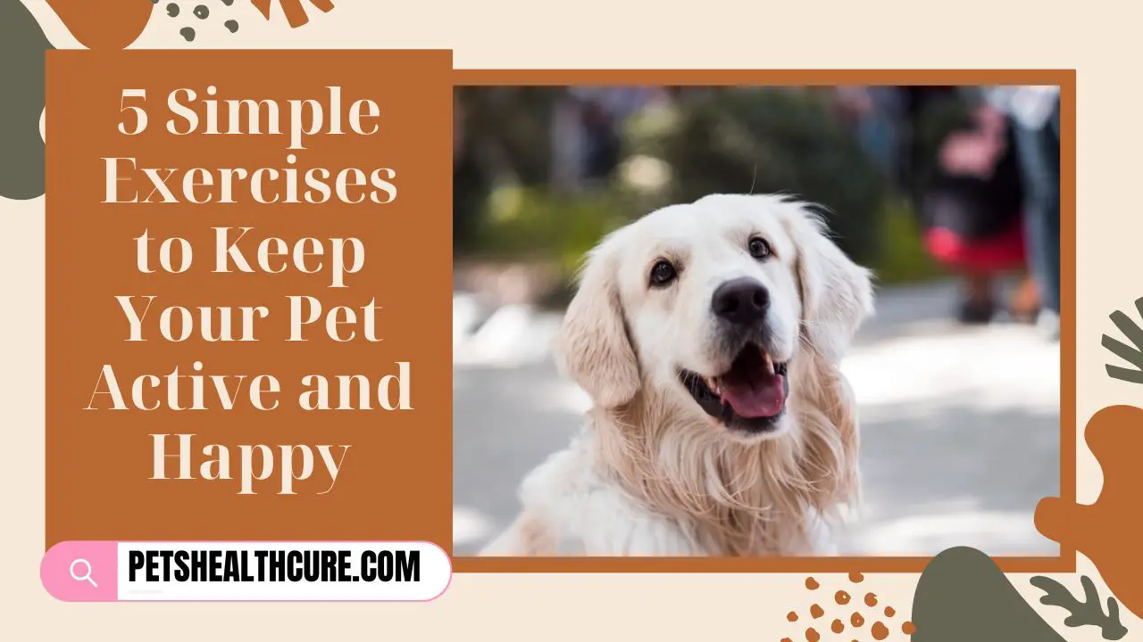 5 Simple Exercises to Keep Your Pet Active and Happy