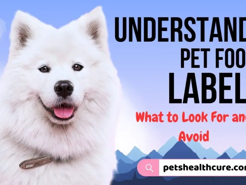 Understanding Pet Food Labels: What to Look For and Avoid