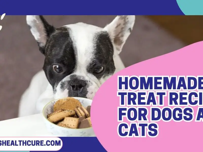 Homemade Treat Recipes for Dogs and Cats: Healthy and Easy